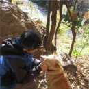 조선민화박물관 이미지