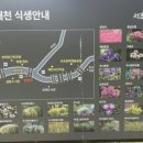 오리개4교 | 양재천(여름) 탐방 후기(2026. 07. 01.)
