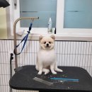 까끌레멍 이미지