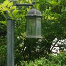 소금꽃정원 이미지