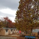 깊이울관광농원(깊이울 캠핑장) 이미지