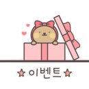 퓨어벨에스테틱