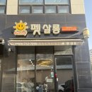 써니펫 | [경기광주] 경기광주 애견미용 써니펫 살롱- 말티푸 미용 스파 후기