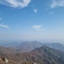 김성옥 인권행정사사무소 이미지