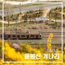 벚꽃마을삼성아파트입구(자은주공아파트방면) | 서울 응봉산 개나리 명소 축제 끝 실시간 응봉산 팔각정 서울꽃구경 야경