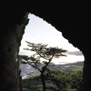 신목약품 이미지