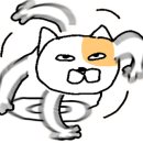 현명안경 & 렌즈베리 이미지