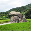 요천상로 티스토리