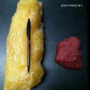 허벌라이프 꽁코치
