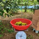 가온누리농장 이미지