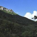 가지산 - 중구 | 가지산