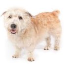 강인한농장 이미지