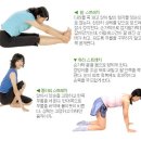 스트레칭B 이미지