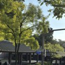 완산-141 | 군산, 전주 당일치기 여행 후기(2)