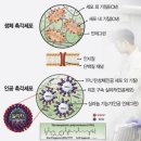 혁신전자 이미지