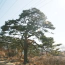 섬 트레킹 : 인천 세어도 탐방기(01월 26일) 이미지