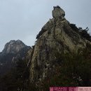 샘내한증막 이미지