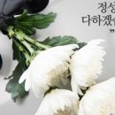 공주상조의전