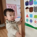아기 학습 포스터 추천, 유아 벽보 아이티티 팩토리
