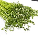 생활미용 이미지