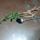 고사농장 이미지