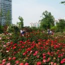 장자호수생태공원 이미지