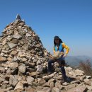 땅끝 남도의 향기 이미지