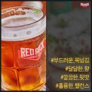 비어하우스 - 동대문구 왕산로2길 22 | 비어하우스
