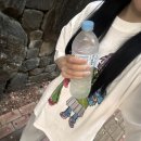 팡팡코인노래연습장 이미지