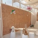 (주)오렌지여행 이미지