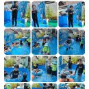 공공용 31 | 대구 서구 평리동 꿈동산 어린이집 졸업 후기｜공공형이라 믿고 맡긴 이유 (유치원 고민 끝)