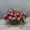 아름답고푸른화원