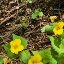 큰고개로 이미지