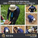 7월17일 용미리묘지개장 후기ㅣ31년만애 어머님을 정성껏 모신 단장1기 현장 이미지