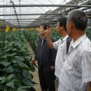 다성농장 이미지