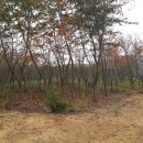 여주-0033 이미지