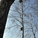 산새들공원 이미지