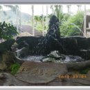 주암초등학교 이미지