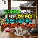 펫디저트(Pet Dessert) | 반려동물과 함께하는 국내 여행, 정말 행복할까? 전문가가 알려주는 펫프렌들리 숙소 선택법