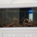 송탄농협고덕지점 이미지