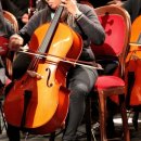 첼로파크 이미지