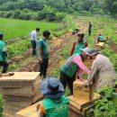 감자마을 이미지