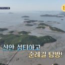 와 한국살이는 처음이지] 신안 섬티아고 순례길, 노두길 12개 예배당 순례길 촬영지 어디? 대기점도...