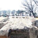 서울대학교 농업생명과학대학 벤처 창업의 활성화 경기상상캠퍼스 무궁화전시박물관 방문