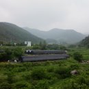 고령농산 이미지