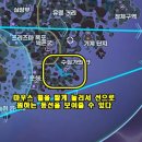 슈퍼핑