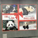 파워블로거를 꿈꿨던 사람
