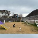 돌담펫호텔 이미지