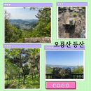 오룡산 등산로 입구 | 등산인가 산책인가 무안군 남악 오룡산 다녀온 후기