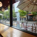 (공연) <최백호 콘서트> 이미지